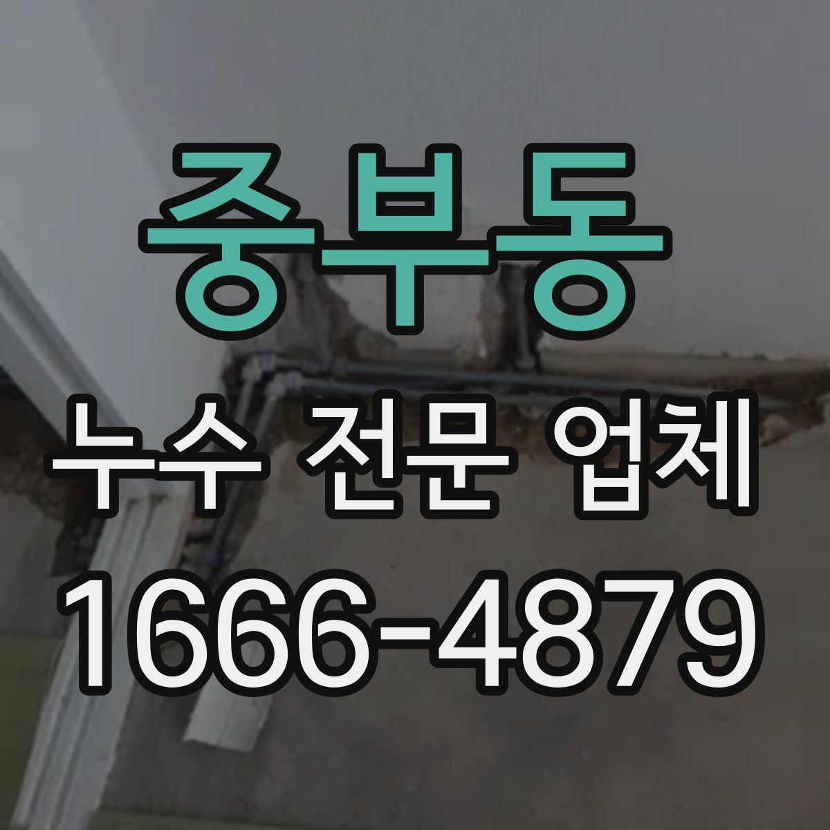 중부동 누수 전문 업체