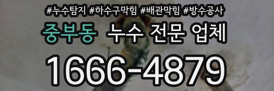 중부동 누수 전문 업체