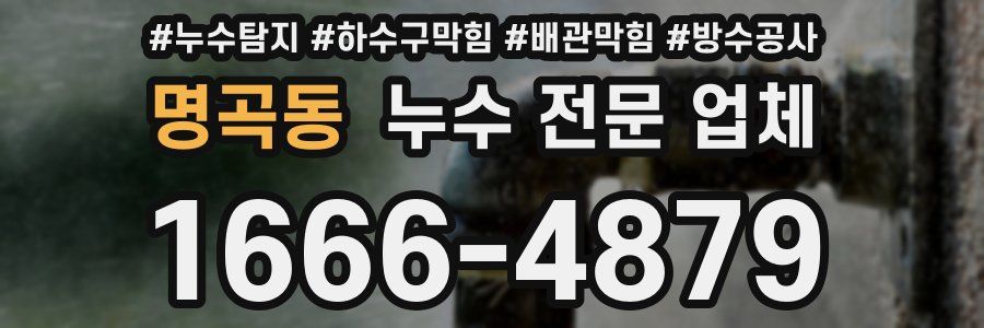명곡동 누수 전문 업체