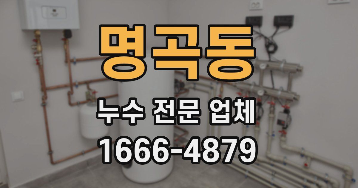 명곡동 누수 전문 업체