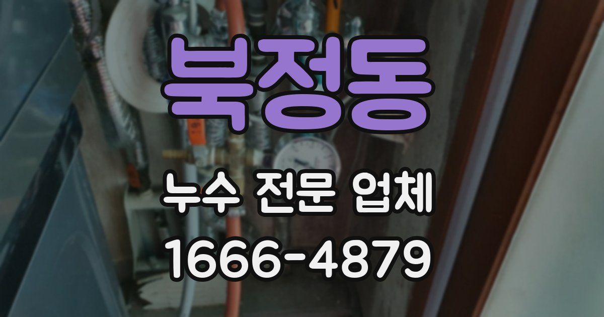 북정동 누수 전문 업체
