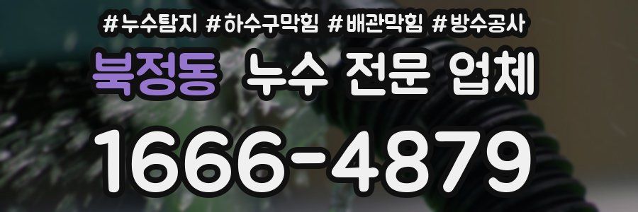 북정동 누수 전문 업체