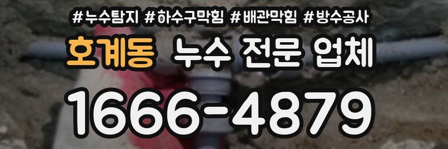 호계동 누수 전문 업체