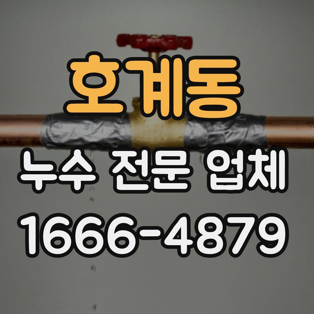 호계동 누수 전문 업체