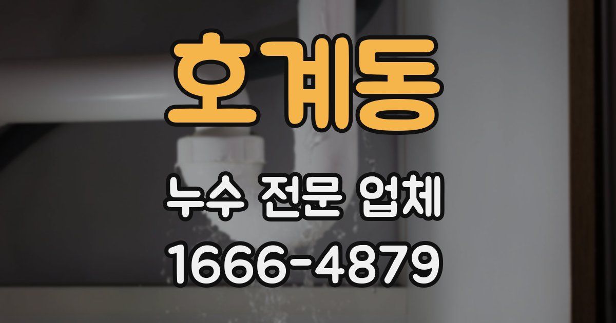호계동 누수 전문 업체