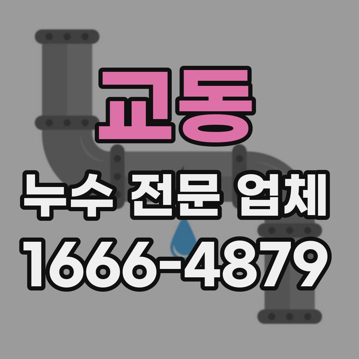 교동 누수 전문 업체