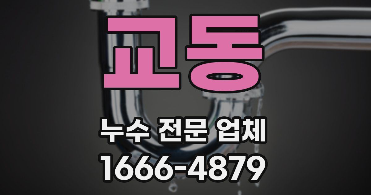 교동 누수 전문 업체