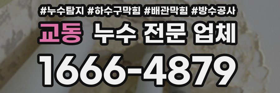 교동 누수 전문 업체