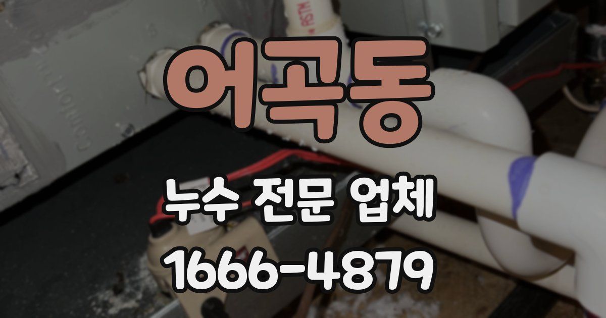 어곡동 누수 전문 업체