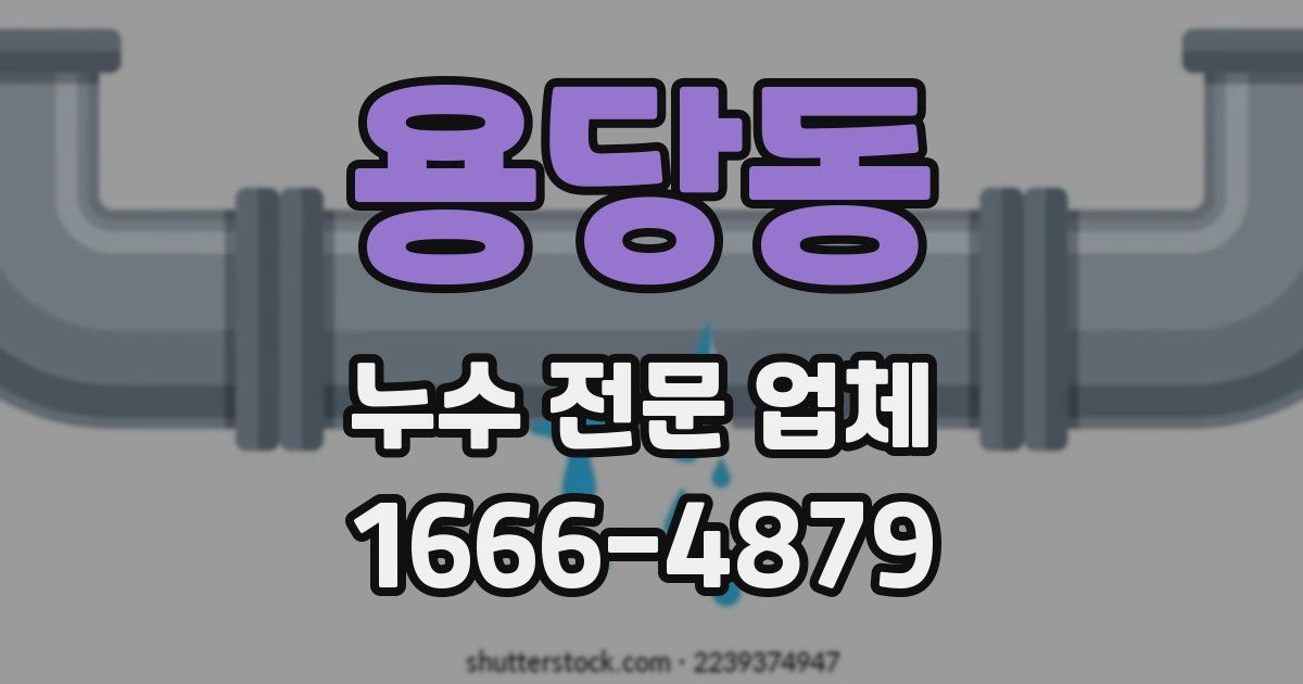 용당동 누수 전문 업체