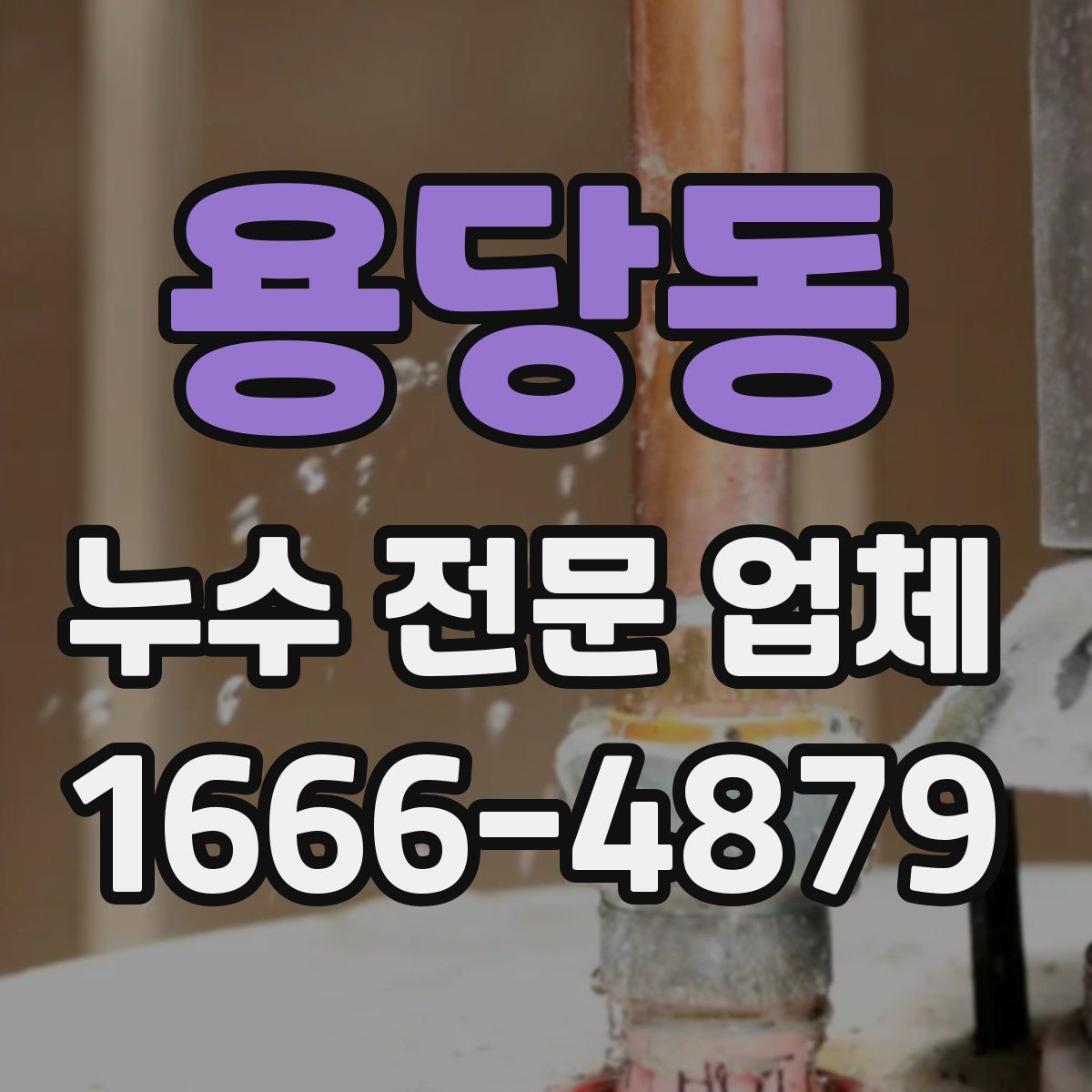 용당동 누수 전문 업체
