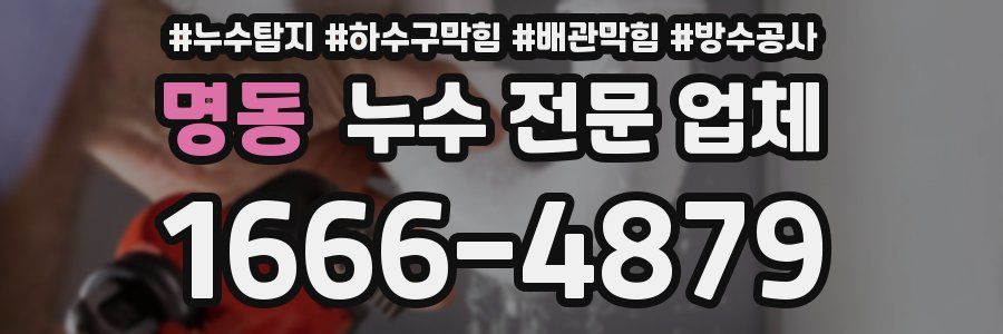 명동 누수 전문 업체