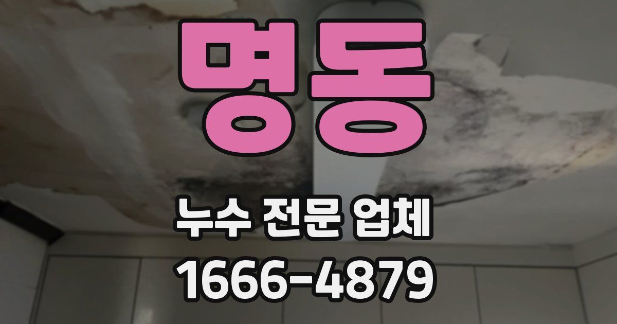 명동 누수 전문 업체
