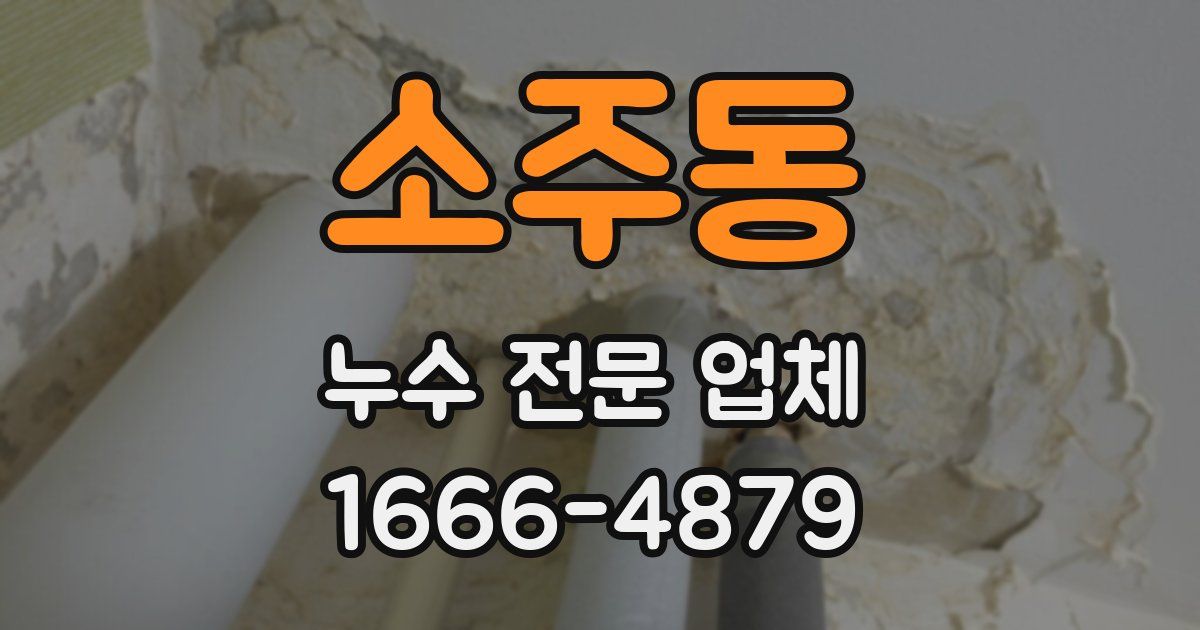 소주동 누수 전문 업체