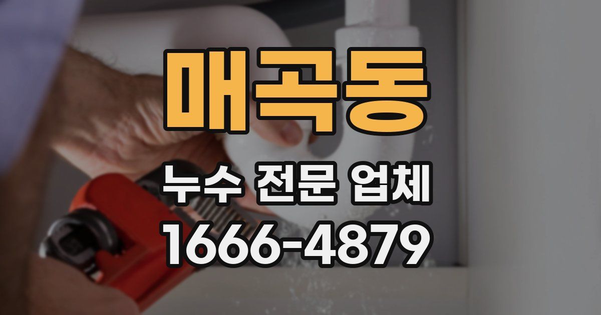 매곡동 누수 전문 업체