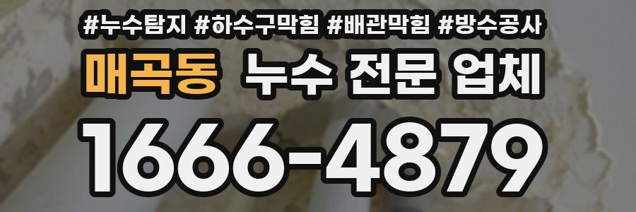 매곡동 누수 전문 업체