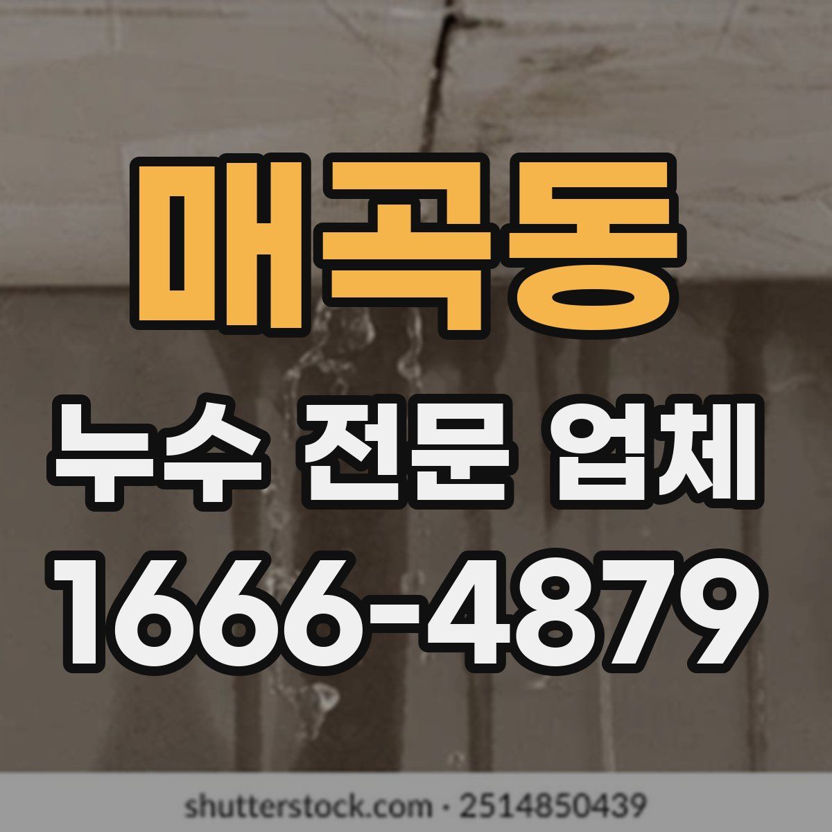 매곡동 누수 전문 업체