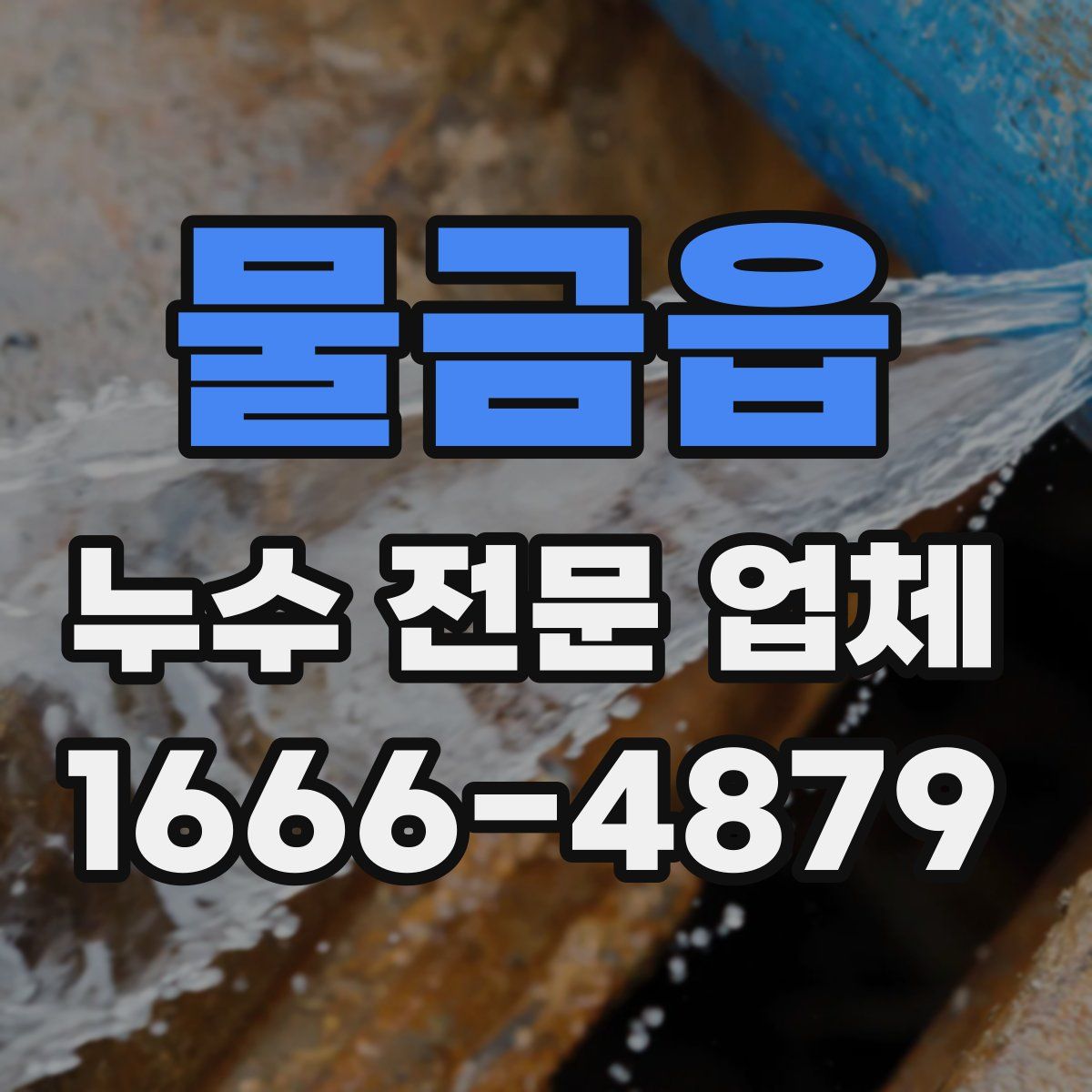 물금읍 누수 전문 업체