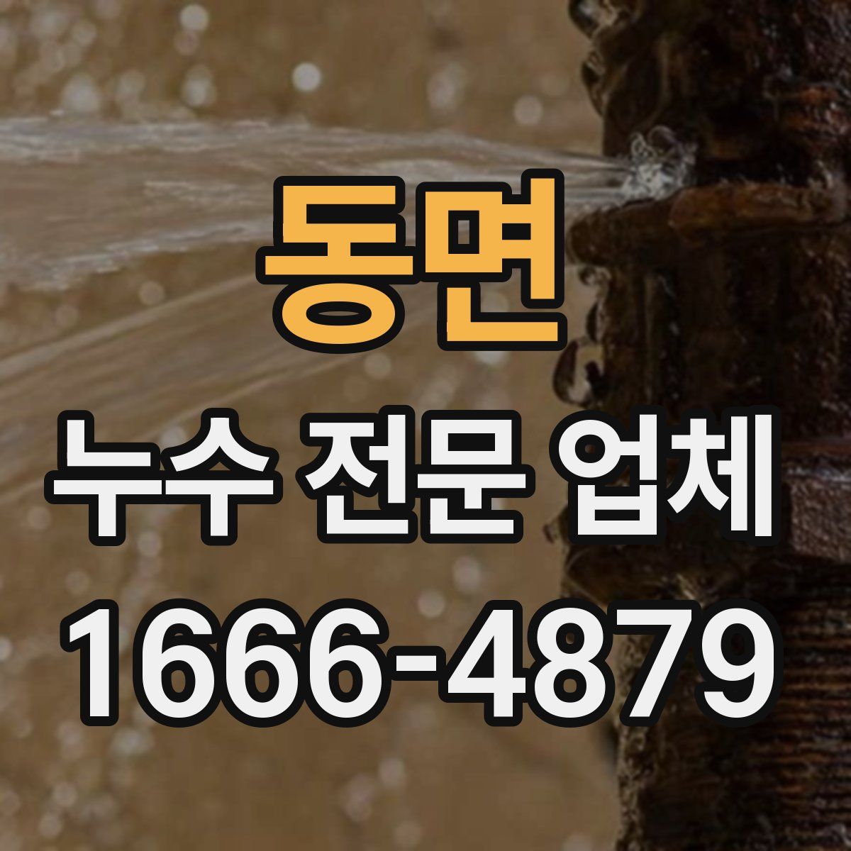 동면 누수 전문 업체