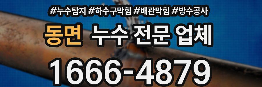 동면 누수 전문 업체