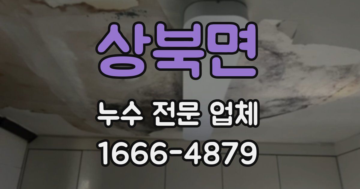상북면 누수 전문 업체