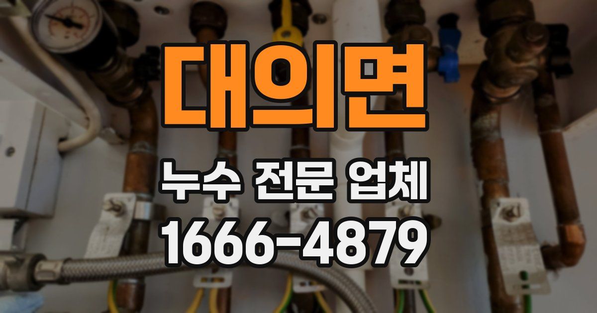 대의면 누수 전문 업체