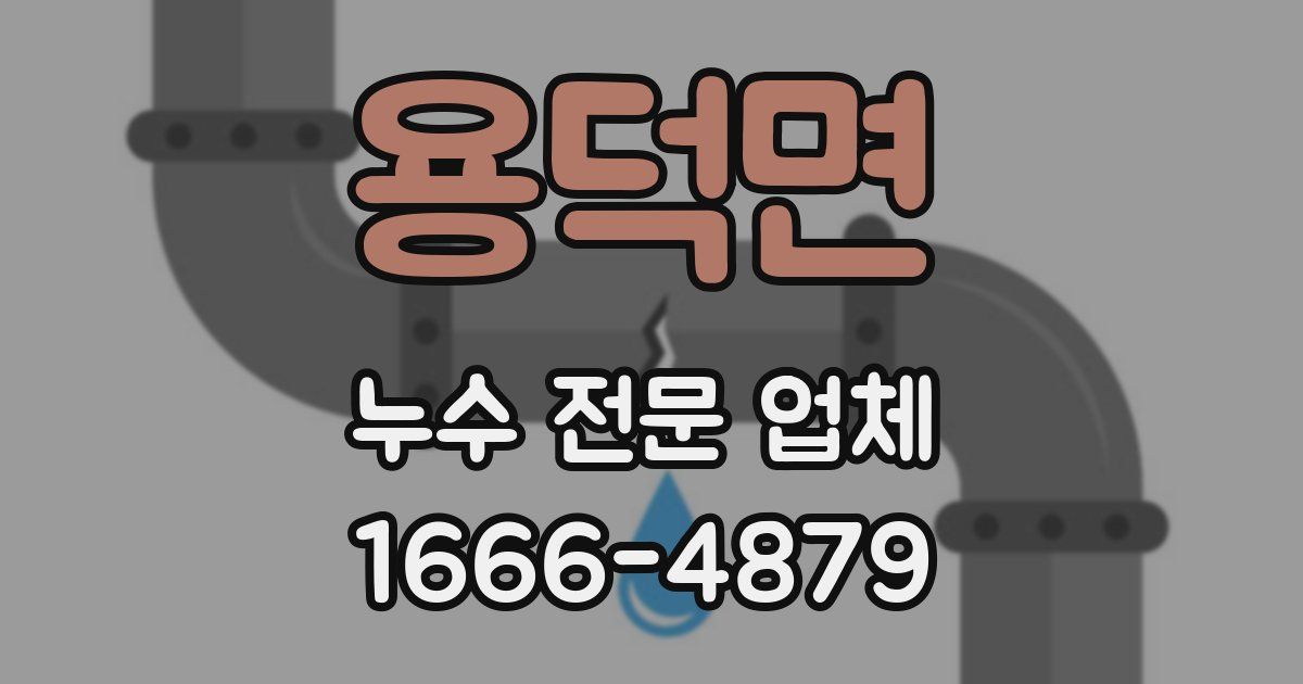용덕면 누수 전문 업체