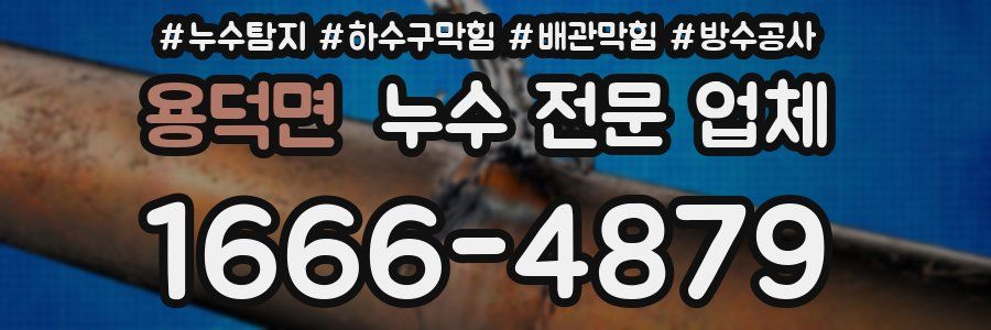 용덕면 누수 전문 업체