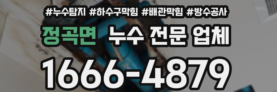 정곡면 누수 전문 업체