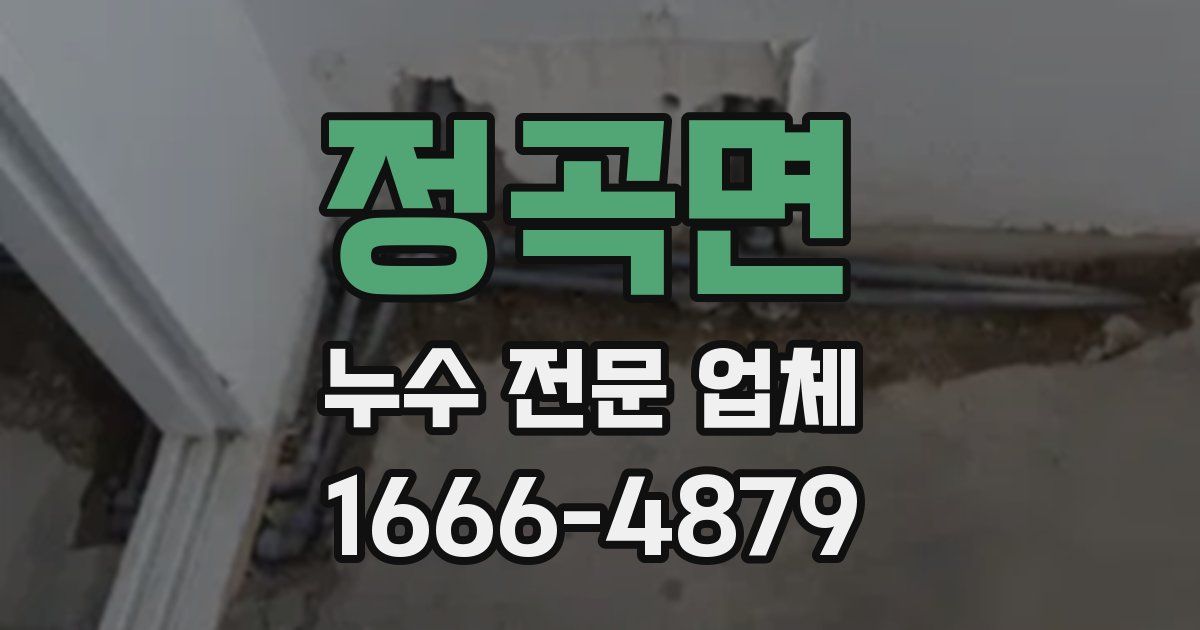 정곡면 누수 전문 업체