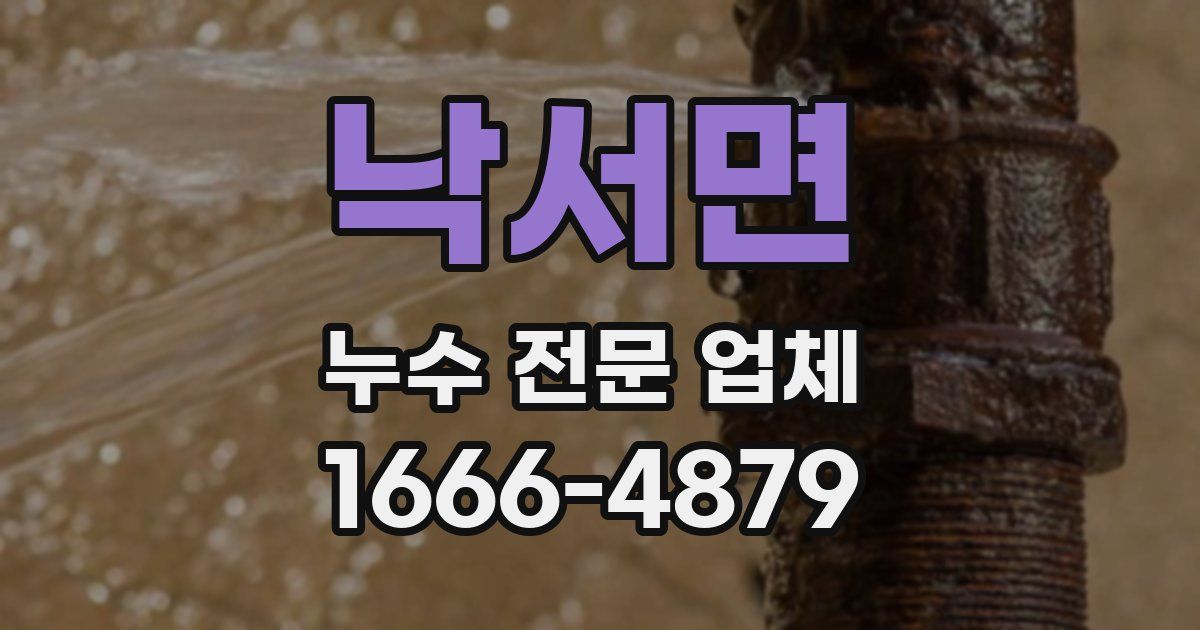 낙서면 누수 전문 업체