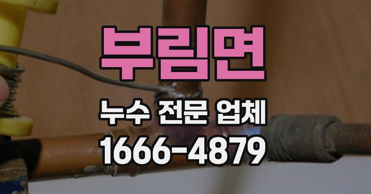 부림면 누수 전문 업체