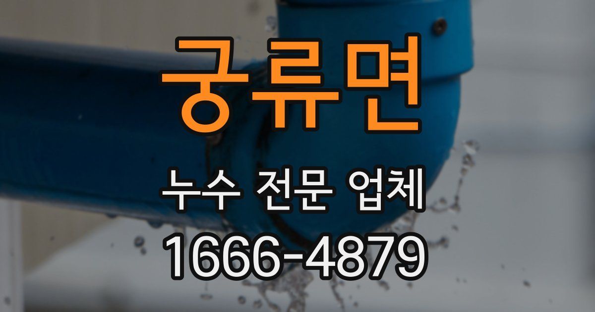 궁류면 누수 전문 업체