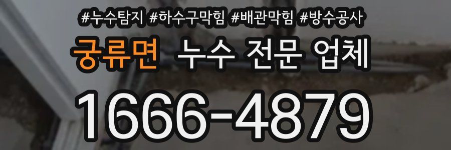 궁류면 누수 전문 업체