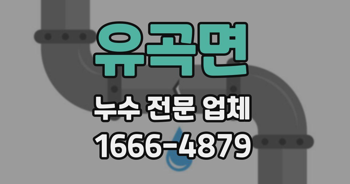 유곡면 누수 전문 업체