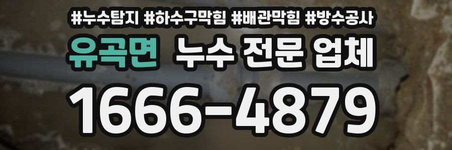유곡면 누수 전문 업체