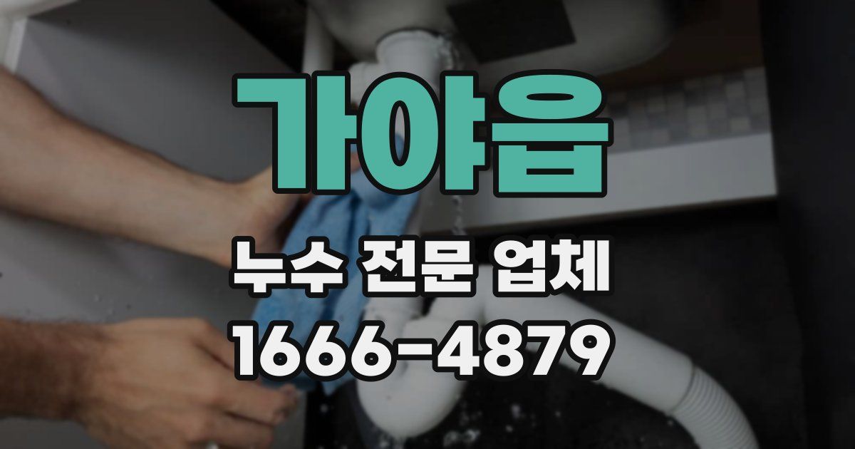 가야읍 누수 전문 업체
