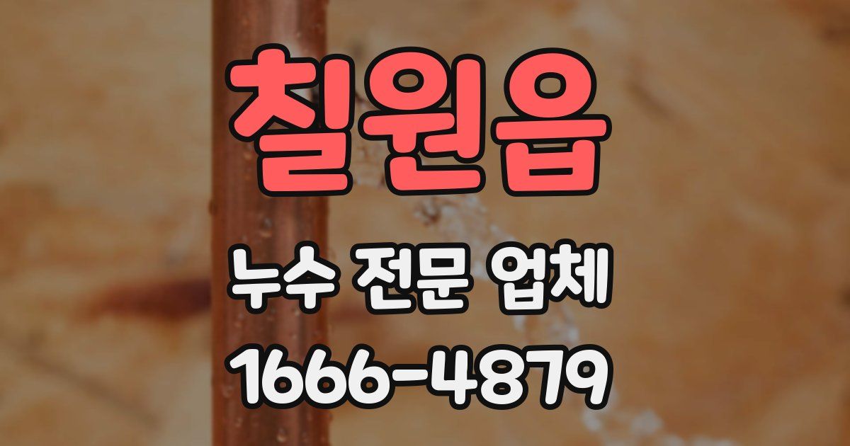 칠원읍 누수 전문 업체