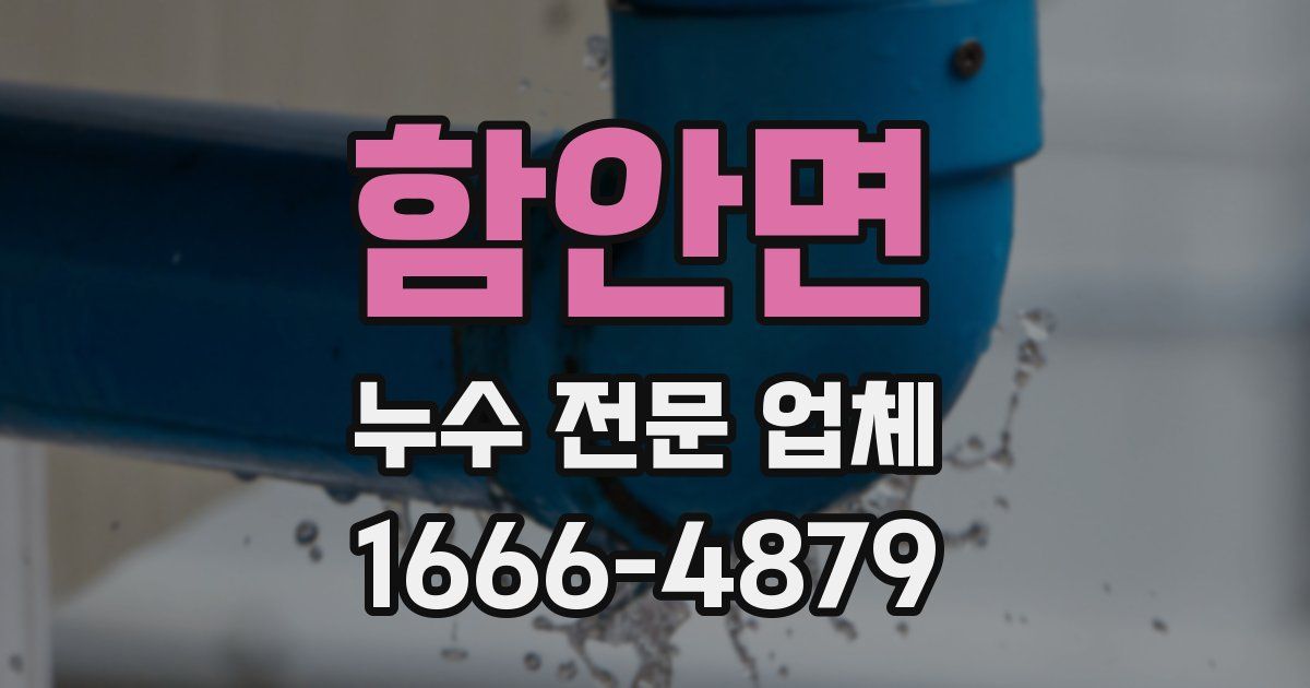 함안면 누수 전문 업체