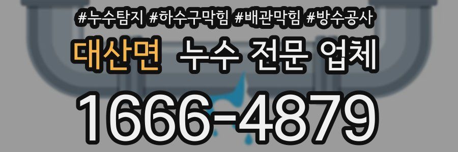 대산면 누수 전문 업체