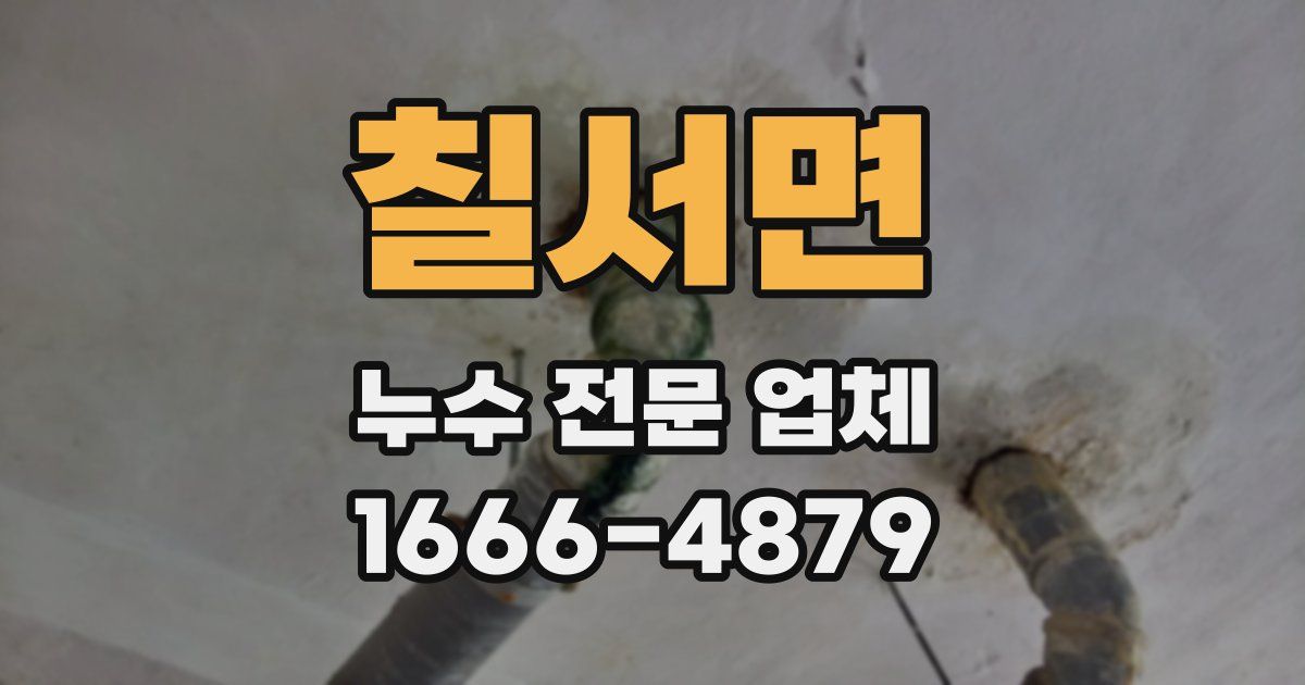 칠서면 누수 전문 업체