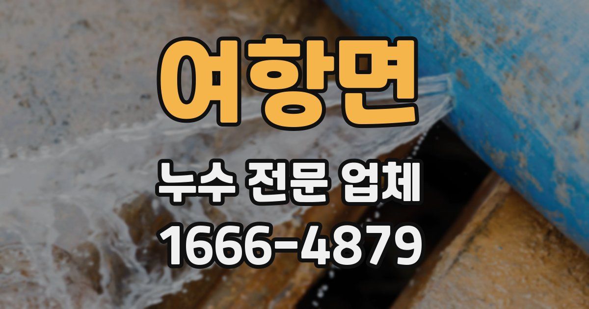 여항면 누수 전문 업체