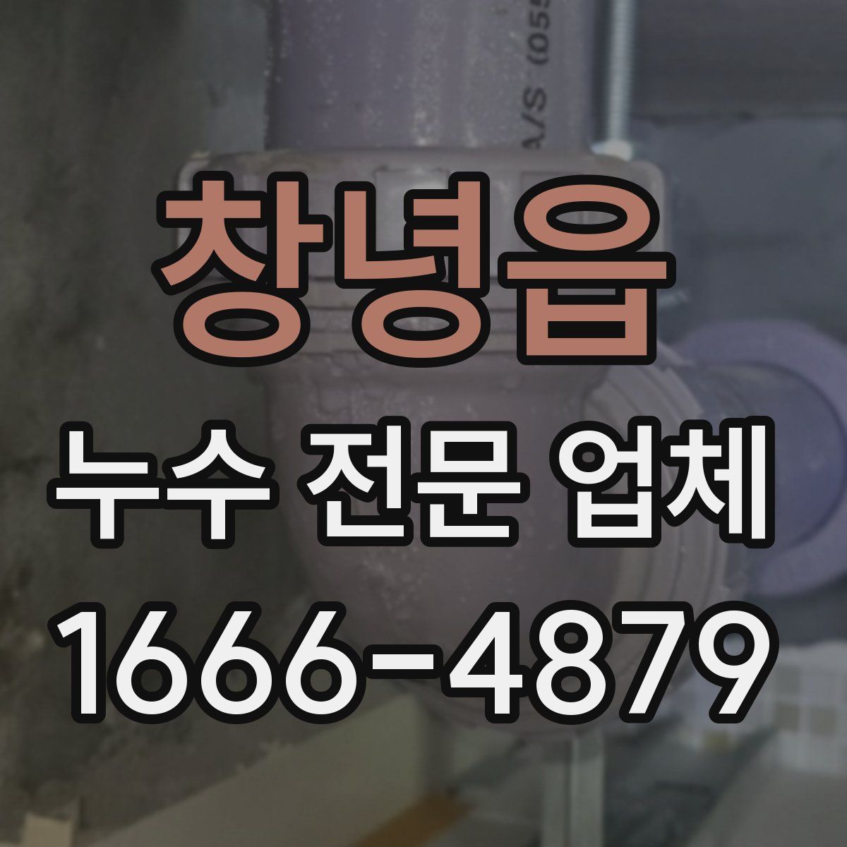 창녕읍 누수 전문 업체
