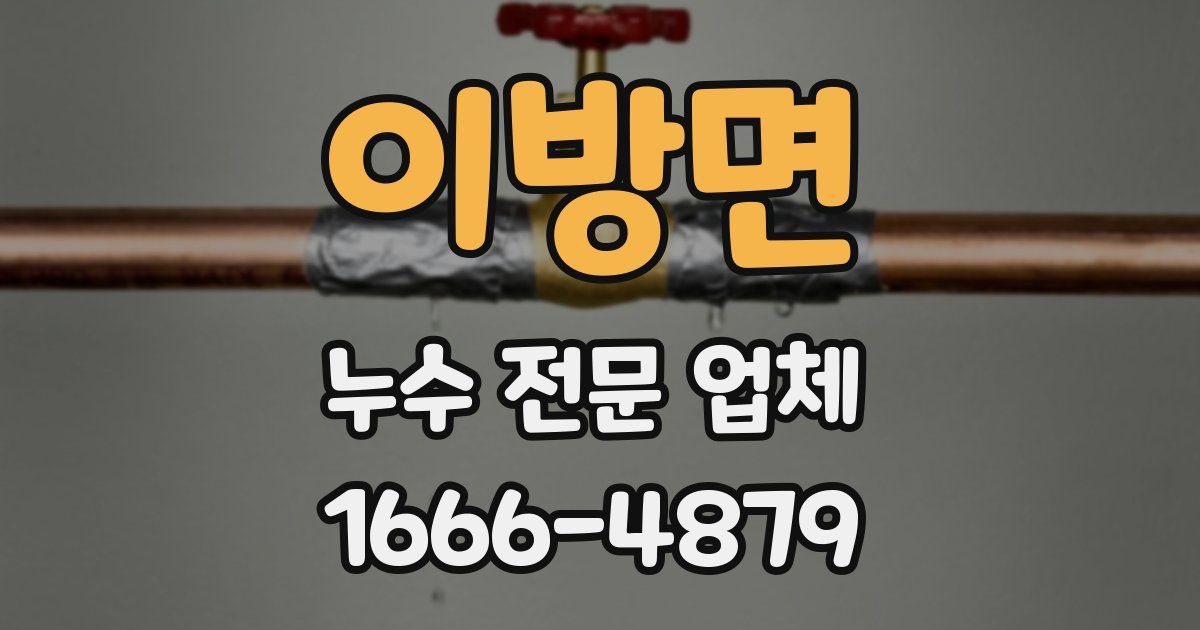 이방면 누수 전문 업체