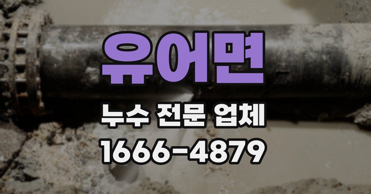 유어면 누수 전문 업체