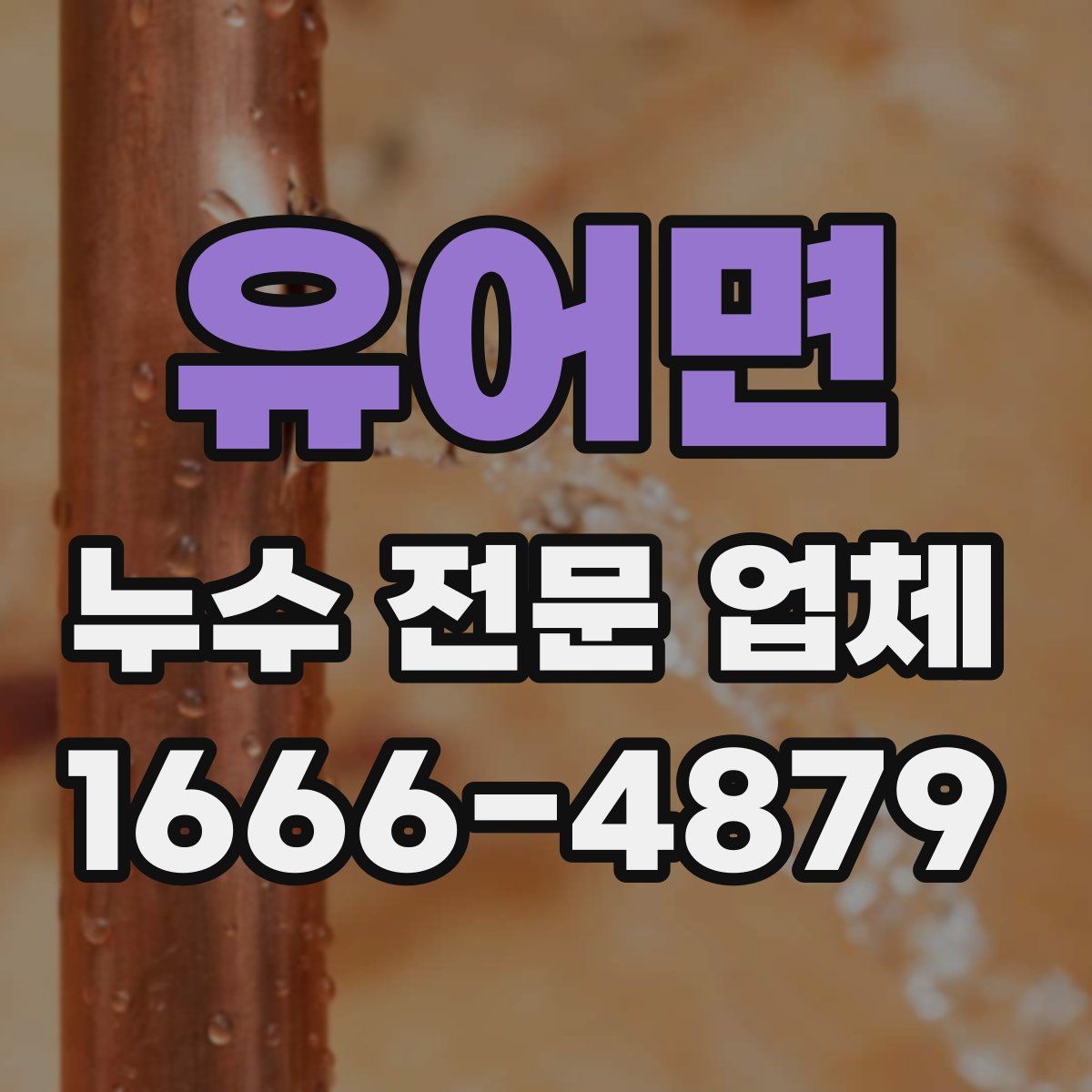 유어면 누수 전문 업체