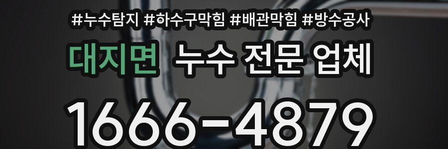 대지면 누수 전문 업체