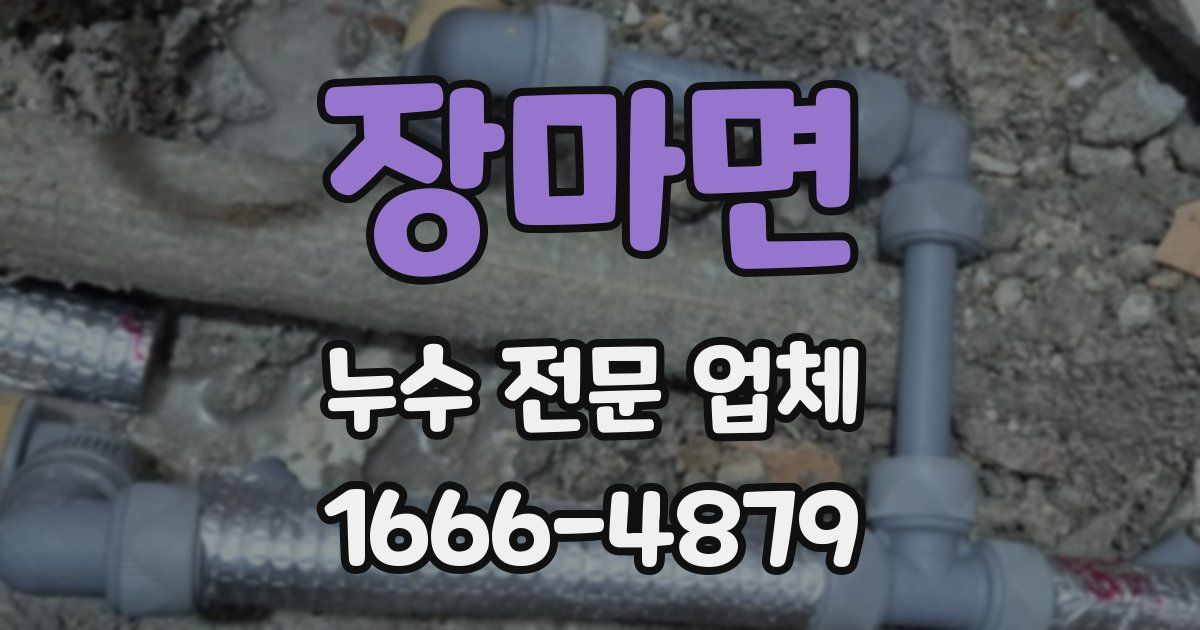 장마면 누수 전문 업체
