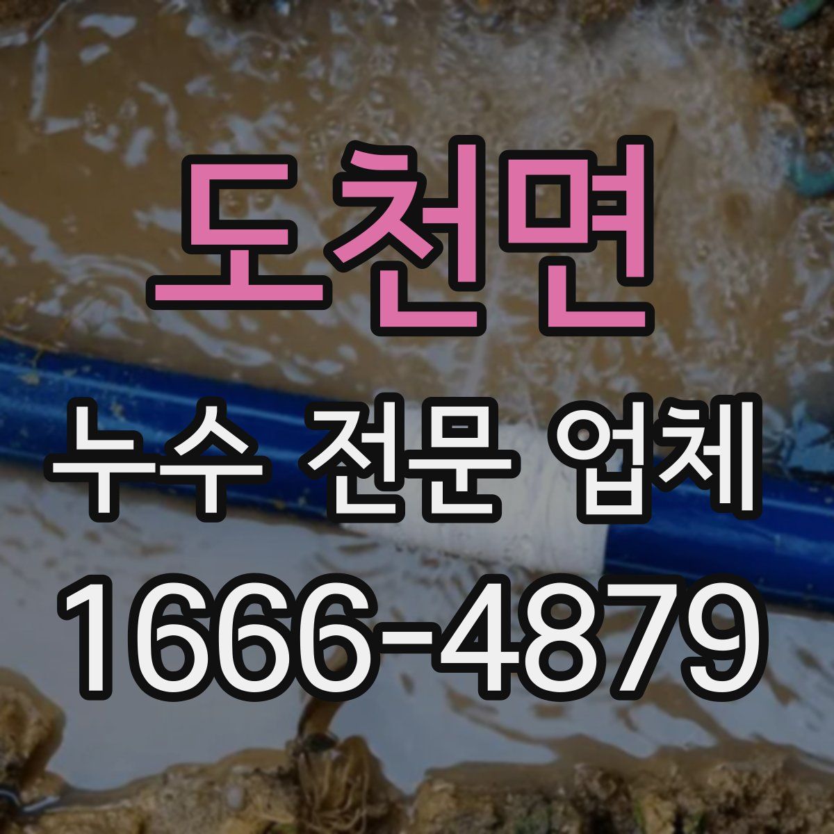 도천면 누수 전문 업체
