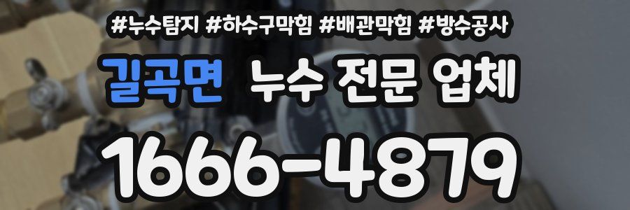 길곡면 누수 전문 업체